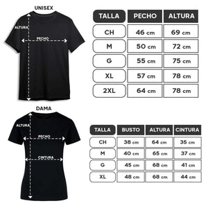 Playera Caballeros del Zodiaco